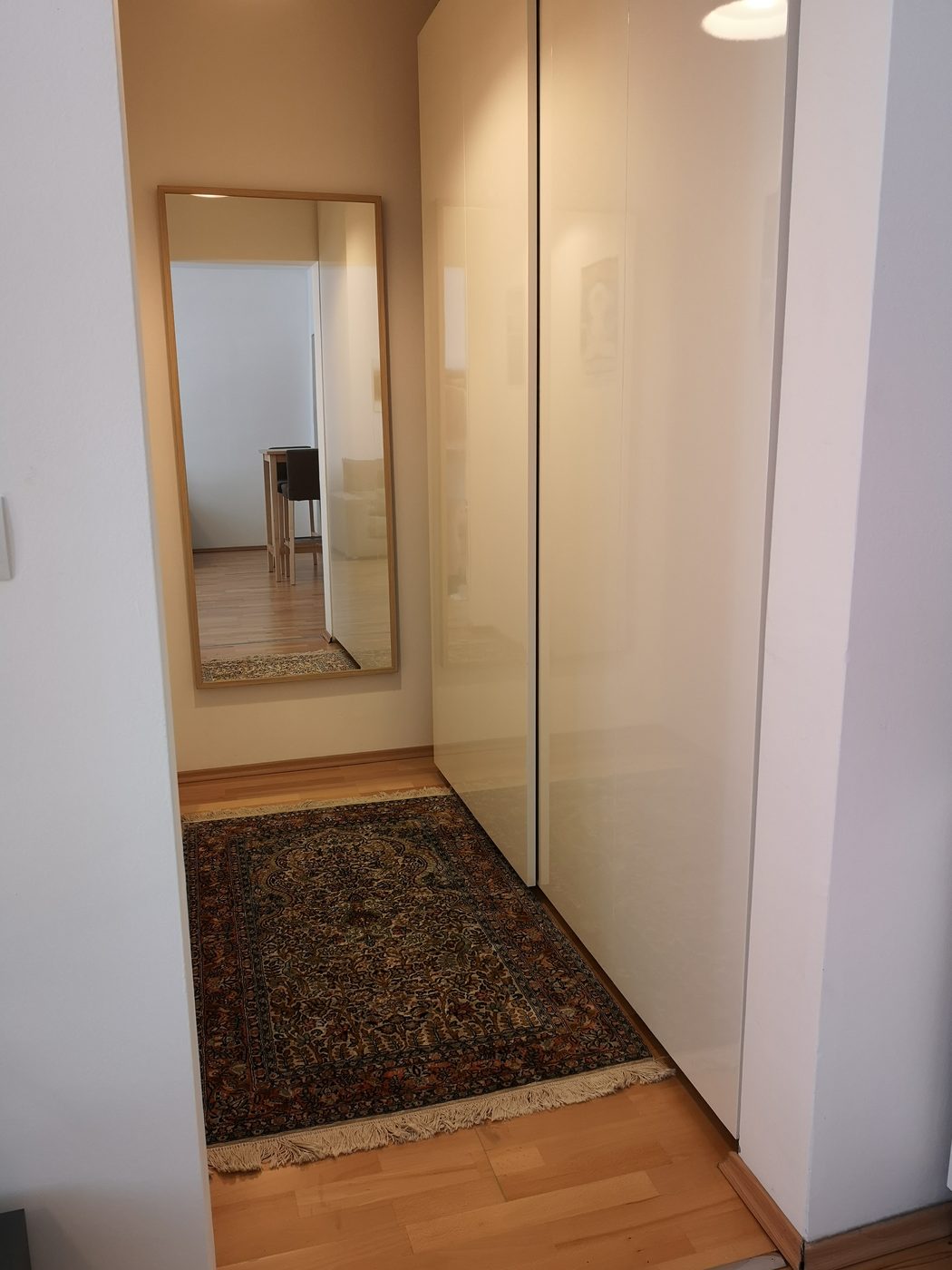 Viriotgasse Apartment Foto 6
